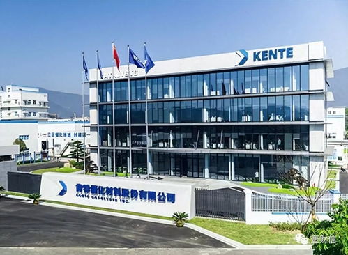 肯特催化戰略失衡 重銷售管理輕研發，技術開發人員薪酬雙標引關注